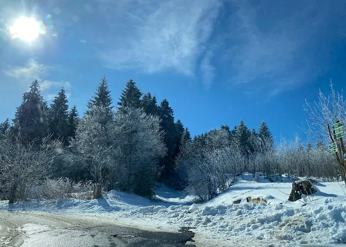 Ferienhaeuschen Gartenblick Vakantiehuis Friedrichroda